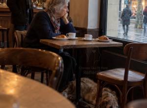 Julie, je suis désolé. Tu me manques. Je crois que j’ai passé trop de temps à attendre que tu fasses le premier pas. 